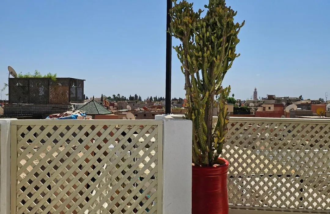 Miostello Lifestyle Riad-1